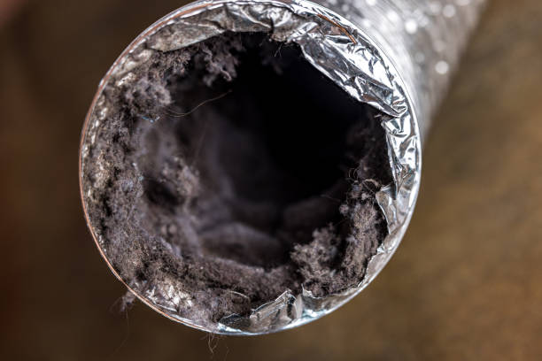 Best Residential Air Duct Cleaning  in South Bend, IN