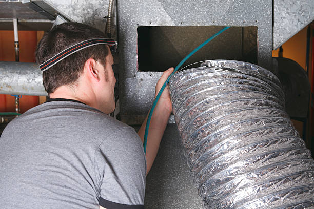 Best Air Duct Mold Removal  in South Bend, IN